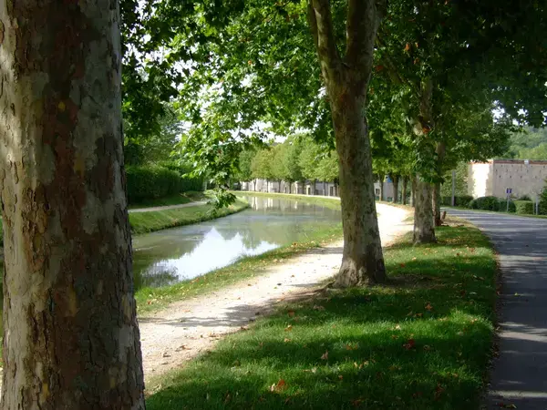 Abri Piscine Plat Prix abri de piscine Saint-Amand-Montrond