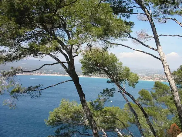 Abri Piscine Plat Prix abri de piscine Saint-Cyr-sur-Mer